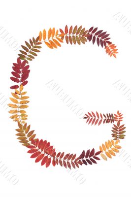 Letter of the alphabet G