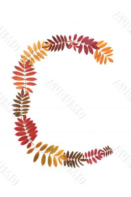 Letter C from alphabet