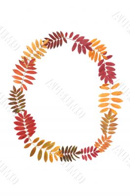 Letter O from alphabet