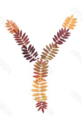 Letter of the alphabet Y