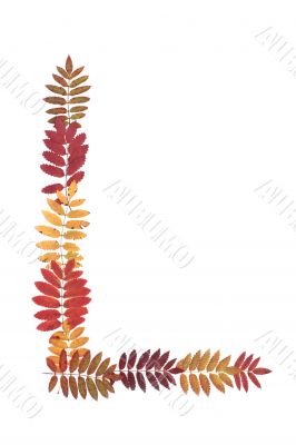 Letter of the alphabet L