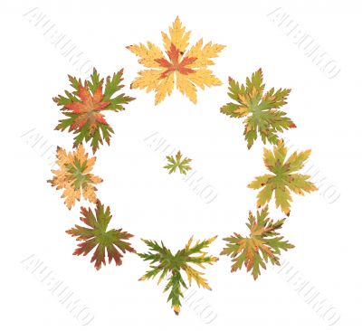 Autumn sheet put around