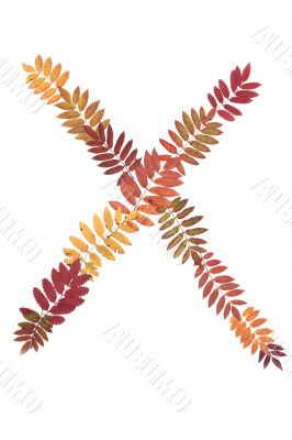 Letter of the alphabet X