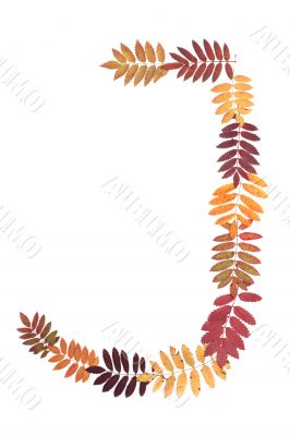 Letter of the alphabet J