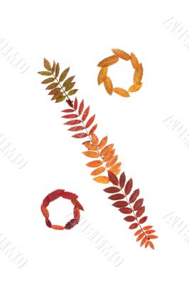 Sign percent % put their autumn sheet