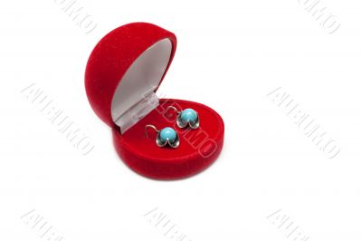 Red box with earring