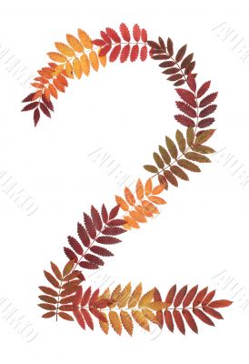 Numeral two 2 put from autumn sheet