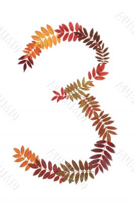 Numeral three 3 put from autumn sheet