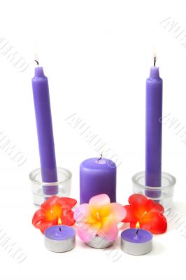 Violet candles