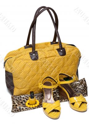 Feminine bag and pair yellow feminine loafers