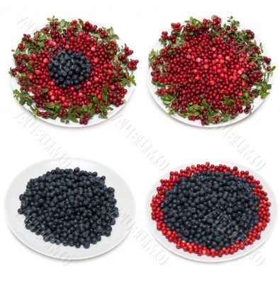Cowberry and whortleberry on plate framed green branch Cowberry and whortleberry on plate framed green branch
