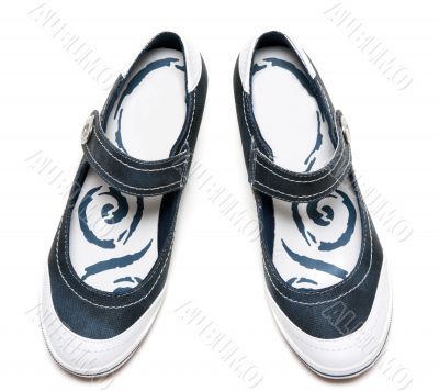 Pair of the fabrics loafer