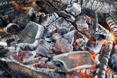 Campfire burning coal