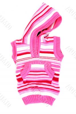 Red striped woman`s jacket with pocket and hood