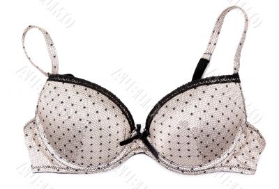 Brown bra with silvery briliance