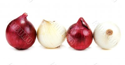 Light and blue onion lies in row