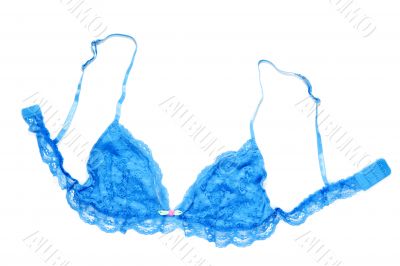 Blue lacy feminine bra