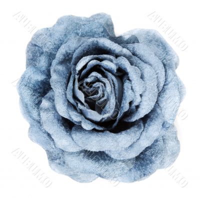 Blue fabrics rose