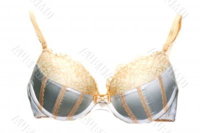 Violet bra without lace