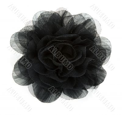 Black flower rose from lace