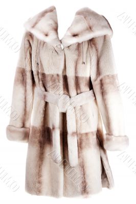 Women`s coat of fur