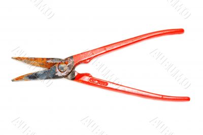 Rusty scissors on metal with red handle