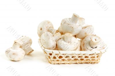 Mushrooms champignon in wooden basket