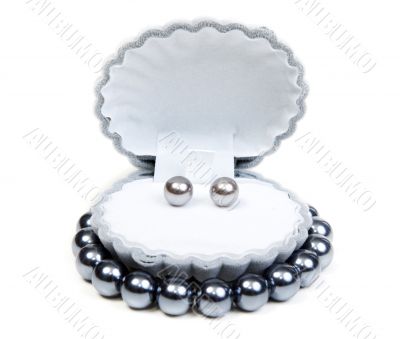 Earrings in small box and necklace