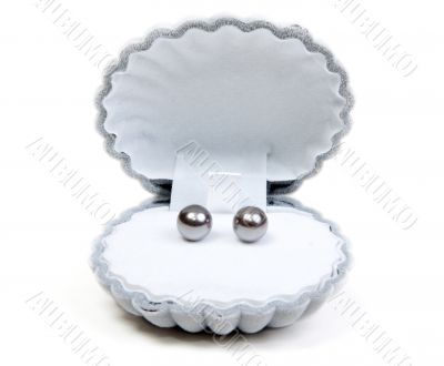 Earrings in small box and necklace