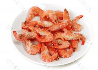 Plate frozen prawns