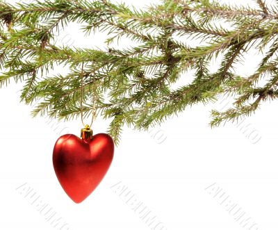 Branch ate a Christmas ornament