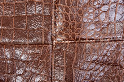 Background of brown leather