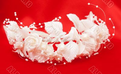 Bride`s wreath