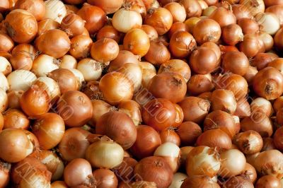 Background of onions