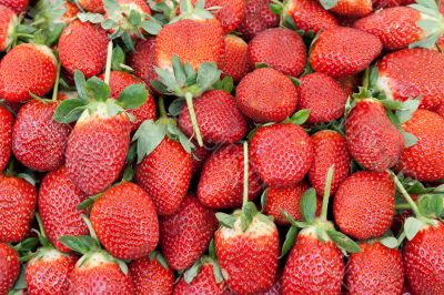 Ripe red strawberries