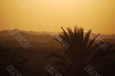 sunset with palm trees and desert sunset with palm trees and desert