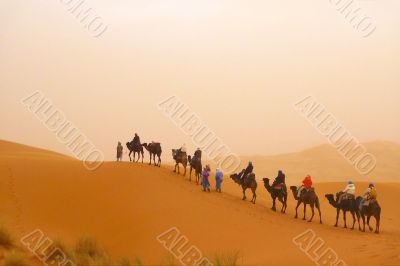 Camel caravan