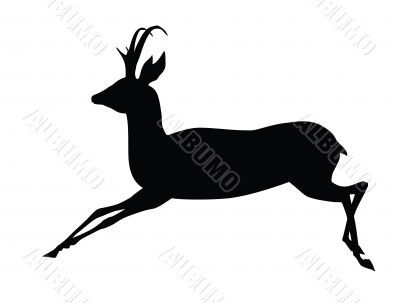 Antelope Antelope
