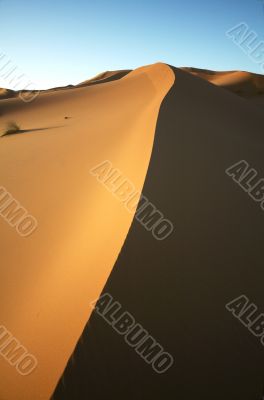 Shadow Sand dune Shadow Sand dune