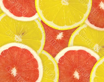 Abstract background of citrus slices. Closeup. Studio photograph