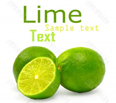 lime isolated on white background lime isolated on white background