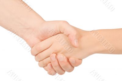 Shaking hands of two people, man and woman, isolated on white.