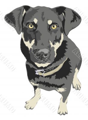 Vector dog