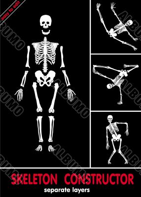 Skeleton constructor