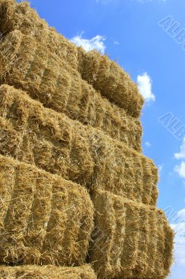 haystack