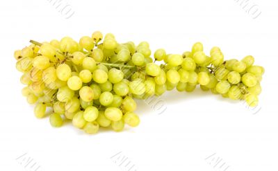 grape