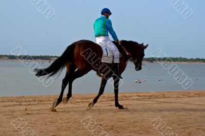 Horse race on Sanlucar of Barrameda, Spain, August  2011