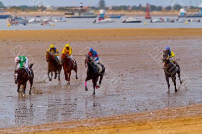 Horse race on Sanlucar of Barrameda, Spain, August  2011