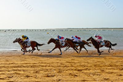 Horse race on Sanlucar of Barrameda, Spain, August  2011