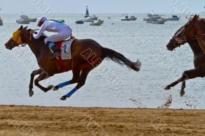 Horse race on Sanlucar of Barrameda, Spain, August  2011